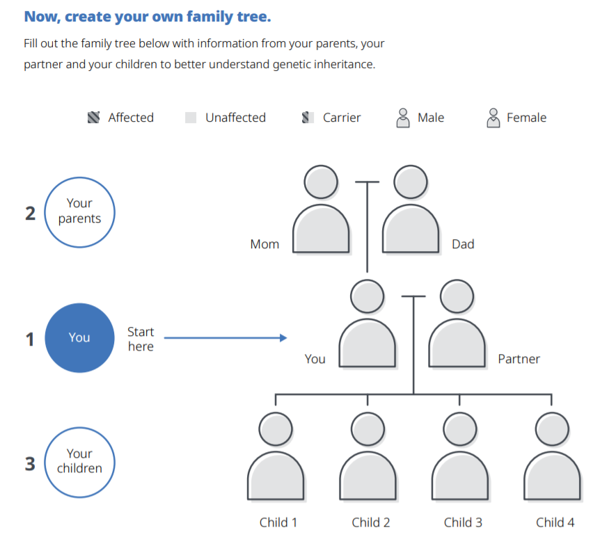 Create your own family - click here to open a PDF document and find a family tree worksheet.